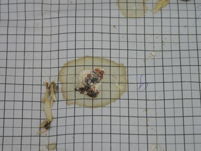 mestbeoordeling